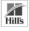 Hills TransformingLives Logo